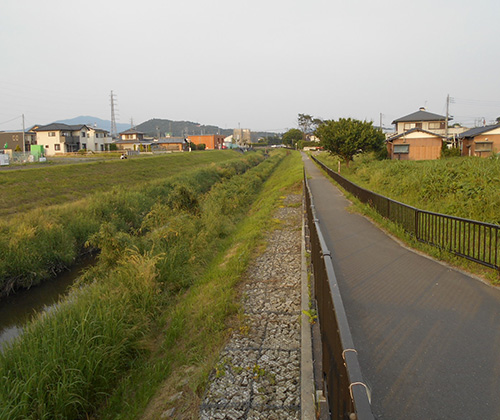桜川自転車道整備事業
